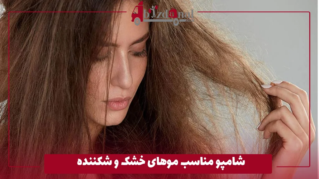 شامپو مناسب موهای خشک و شکننده