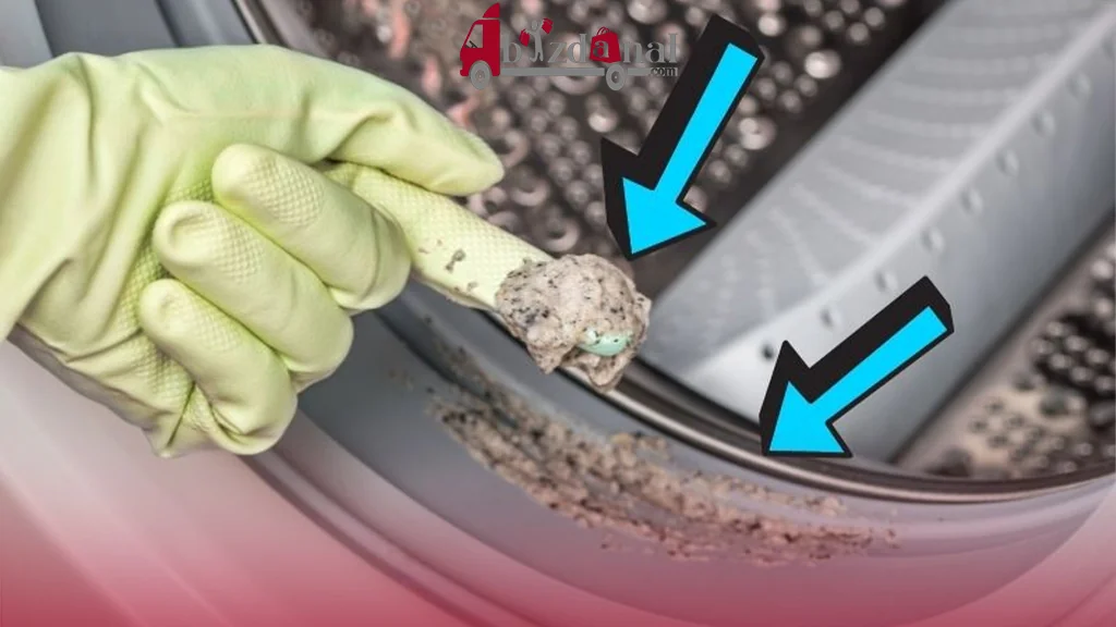 جمع شدن باکتری و کپک در لاستیک درب